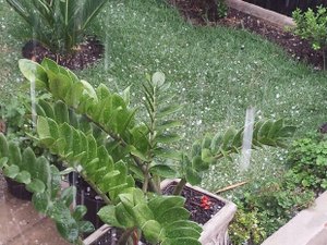 Chuva de granizo é registrada no Ceará