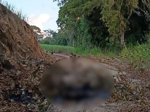 Corpo carbonizado é encontrado em área pertencente a usina em Rio Largo