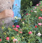 Festival de Flores de Holambra chega a Maceió nesta quinta (26)