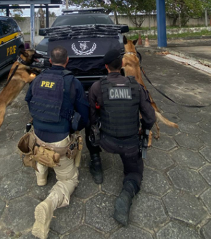 PRF apreende arma artesanal e 90 munições dentro de ônibus em São Sebastião