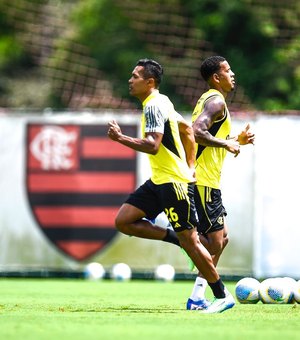 Veja o que está em jogo para o Flamengo na reta final do Brasileirão