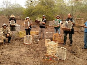 FPI do São Francisco: 200 animais são libertados são autuadas e Prefeitura é multada