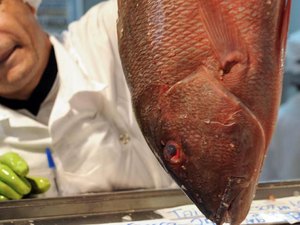 Governo qualifica terminais pesqueiros públicos para privatização