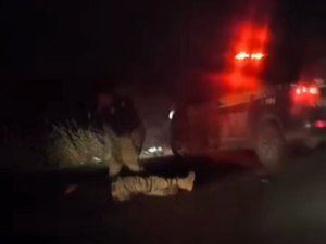 Agente da PRF atingido por carro morre ao tentar impedir cavalo de invadir BR-110