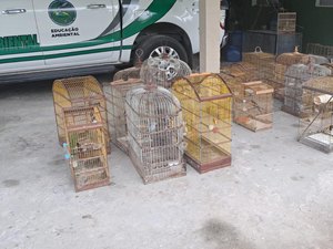 PM resgata 40 aves silvestres durante operação ambiental no interior de Alagoas