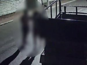 Homem é flagrado por câmeras de monitoramento espancando companheira em Carneiros