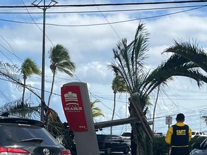 Poste cai após colisão e espalha fiação na Avenida Assis Chateaubriand, em Maceió