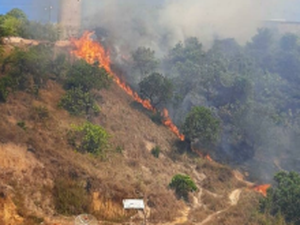 [Vídeo] Vegetação pega fogo próximo a torre de telefone em Maragogi