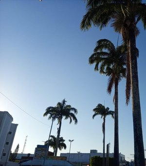 Palhas de palmeira oferecem risco de acidente no Centro de Arapiraca