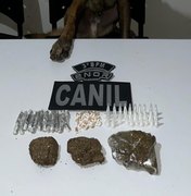 PM-AL apreende 33 armas e quase 14 quilos de drogas em uma semana