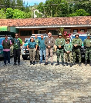 Operação nacional identifica desmatamento em Maceió e aplica multa de R$ 20 mil