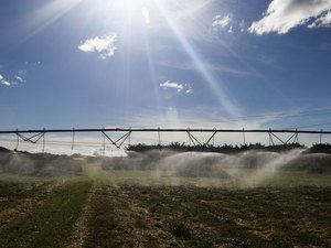 Novas tecnologias digitais auxiliam produção no campo