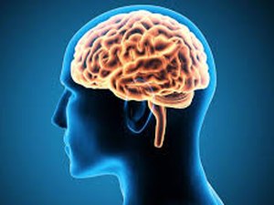 Cientistas projetam scanner poderoso para examinar cérebro