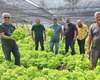 Projeto de Agricultura familiar gera renda em assentamento rural de Maragogi