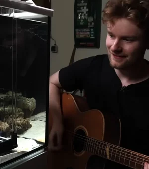 Jovem compra polvo vivo em mercado e ensina animal a tocar piano