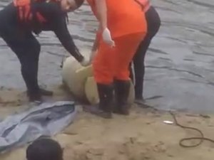 Corpo encontrado em rio de Murici é de jovem de Teotônio Vilela