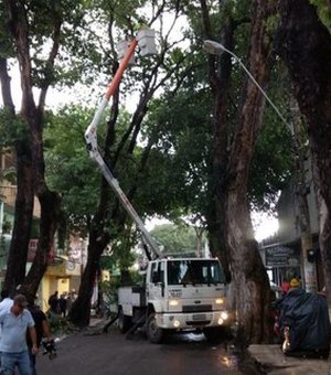 Árvore que tombou no Centro de Maceió pernamece 'escorada' em fachada de loja