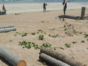 MP pede abertura de inquérito policial para investigar crime ambiental na Praia do Marceneiro