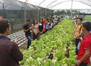 Alunos de Lagoa da Canoa conhecem técnica para cultivo de hortaliças
