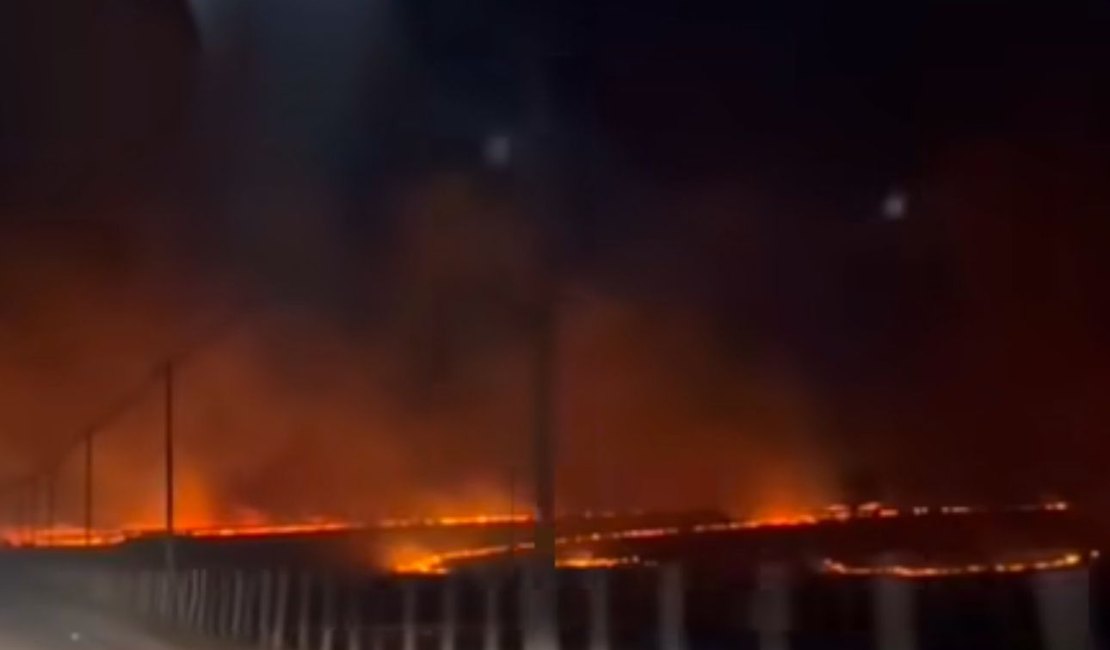 [Vídeo] Incêndio criminoso devasta vegetação entre Lagoa da Canoa e Girau do Ponciano