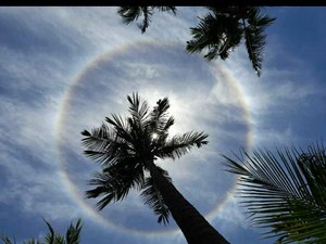 [Vídeo] Fenômeno Halo Solar aparece no Litoral Norte de Alagoas