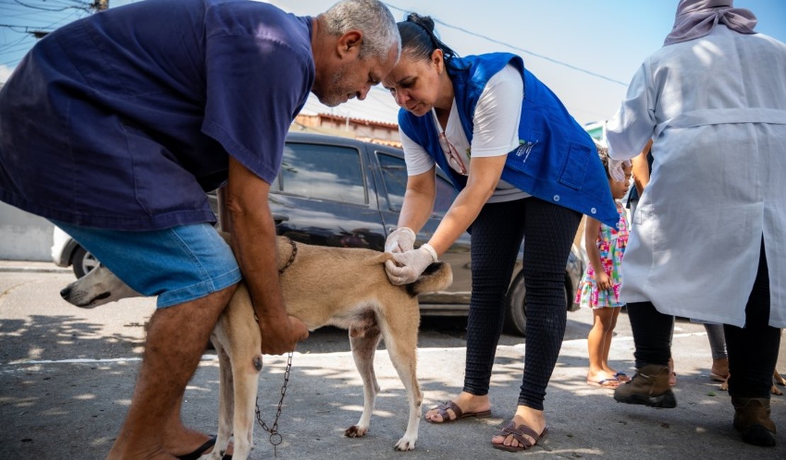 Prefeitura de Maceió vacina mais de 90 mil animais durante campanha antirrábica