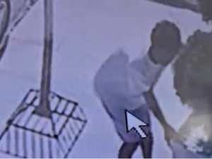 Jovem é flagrado furtando planta em vaso na rua Estudante em Arapiraca