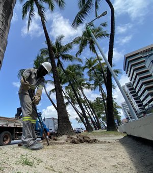 Canteiro da Avenida Silvio Viana, em Maceió, ganha iluminação cênica