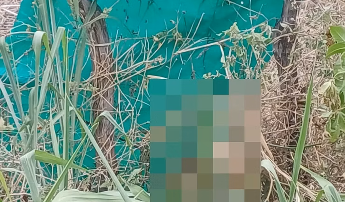 Acidente deixa um morto e um adolescente ferido no município de Água Branca