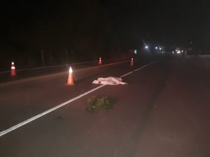 Após cair de moto, passageiro é atropelado por carreta e morre na AL-110 em Taquarana