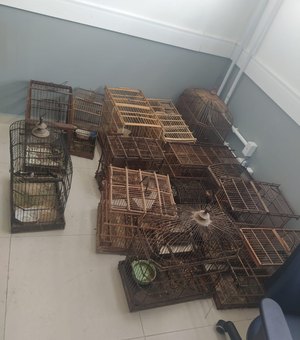 Polícia encontra 47 pássaros em cativeiro em Matriz de Camaragibe