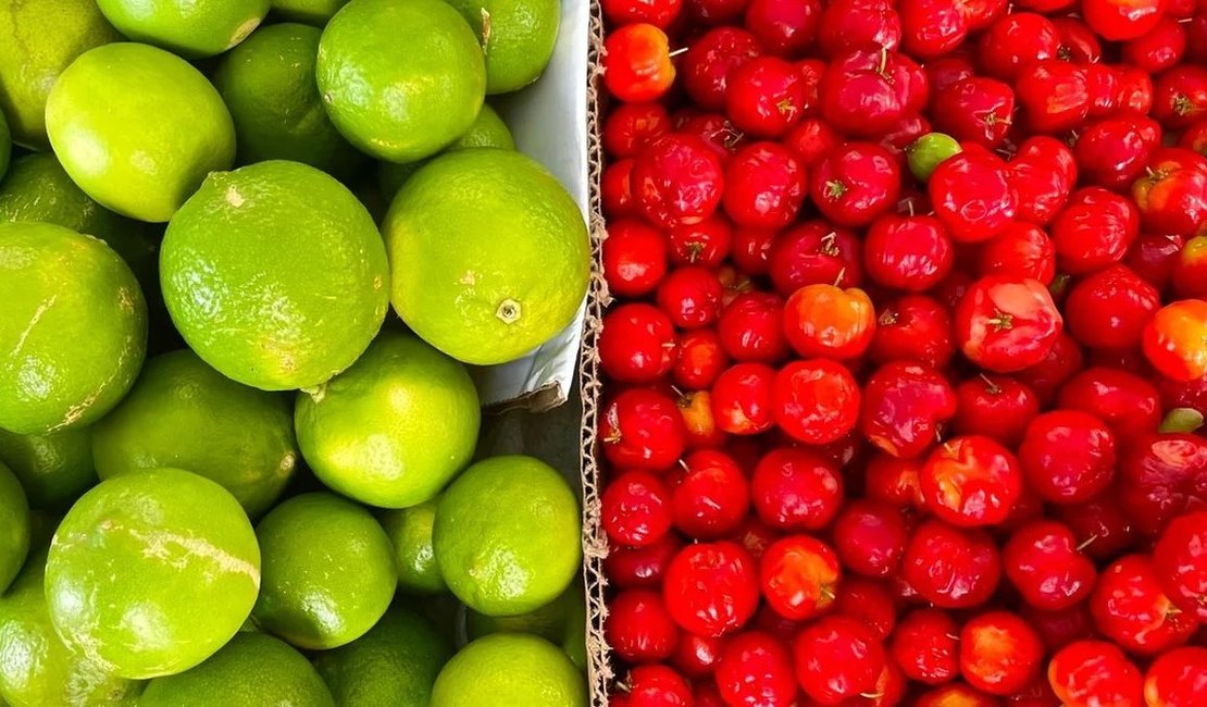 Feira do Parque Ceci Cunha passa a ser realizada no Mercado do Artesanato a partir de sábado (20)