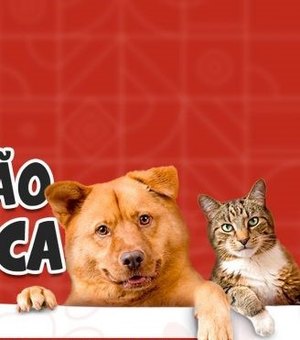 Vacinação antirrábica de cães e gatos de Penedo será realizada neste sábado, 30