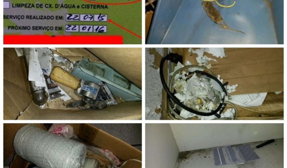 Sindicato denuncia criatório de ratos em setor de encomendas dos correios de Maceió