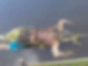 Corpo de homem desparecido no Rio Mundaú há 13 dias é encontrado 