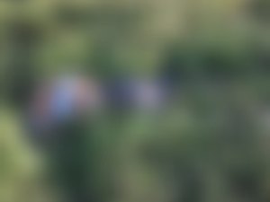 Jovem é encontrado morto em Matriz de Camaragibe