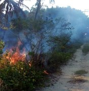 Incêndios em vegetação aumentam no fim de ano em Alagoas