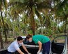 Tartaruga-verde é resgatada com ferimento grave na praia de Ipioca