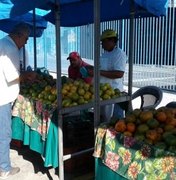 Começa a 17ª edição da Feira Orgânica em Maceió