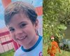 Corpo que seria de criança autista desaparecida é encontrado boiando ﻿em córrego no Benedito Bentes