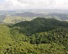 Alagoas registra queda de 68,4% no desmatamento em 2025, segundo MapBioma