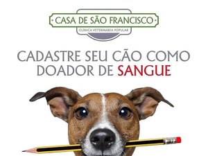 Clínica veterinária faz cadastro de animais para doação de sangue 