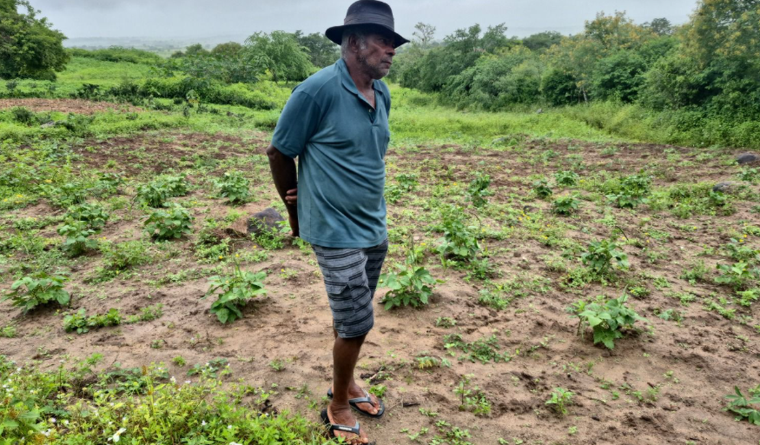 FPI denuncia: falta de terra leva quilombolas a plantar em lixão no Sertão