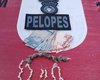 Polícia Militar flagra trio com drogas em Messias; um deles já tinha passagem por tráfico