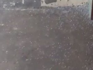 Em Mata Grande moradores registram chuva de granizo