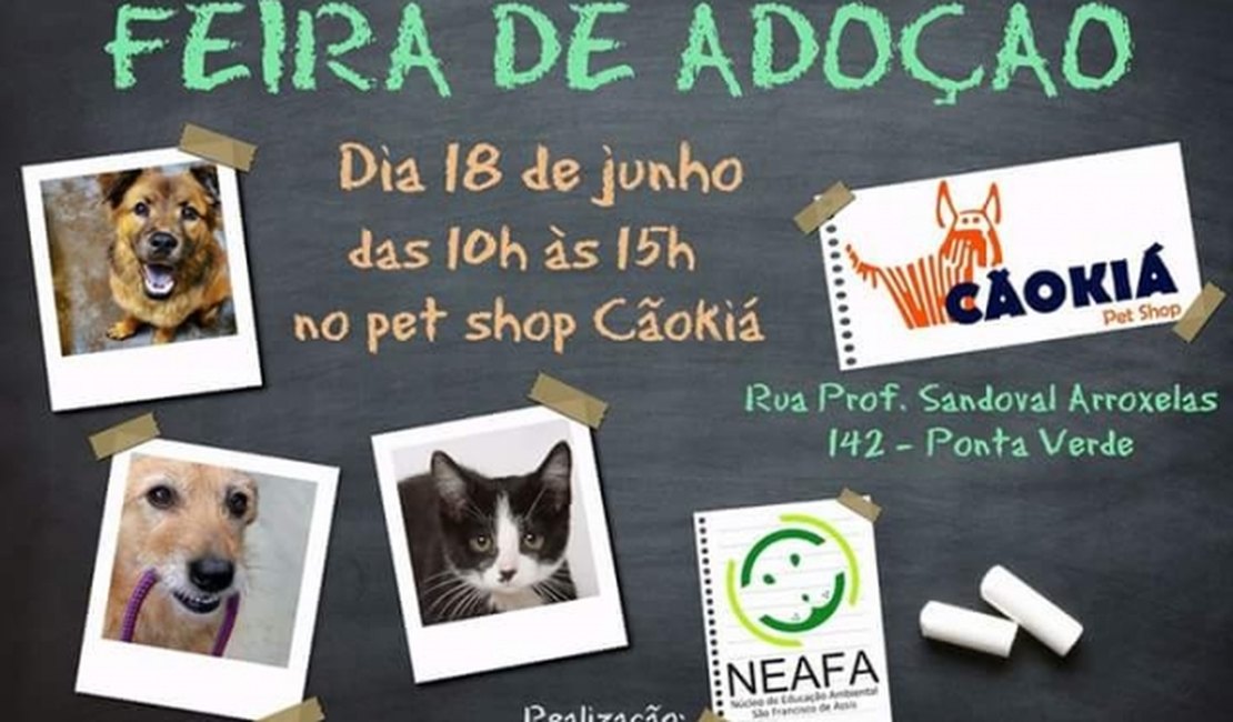 Neafa promove feira de adoção de cães e gatos no fim de semana