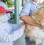 Prefeitura de Maceió criou secretaria para cuidar do Bem-Estar Animal