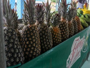 Emater alerta para encerramento do cadastro de unidades recebedoras no PAA 2022