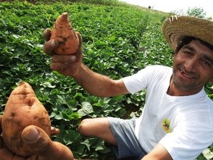 Unicafes realiza evento para incentivar comercialização da agricultura familiar
