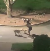 Jovem é cercada por cães no meio da rua em Arapiraca; vídeo registra momento